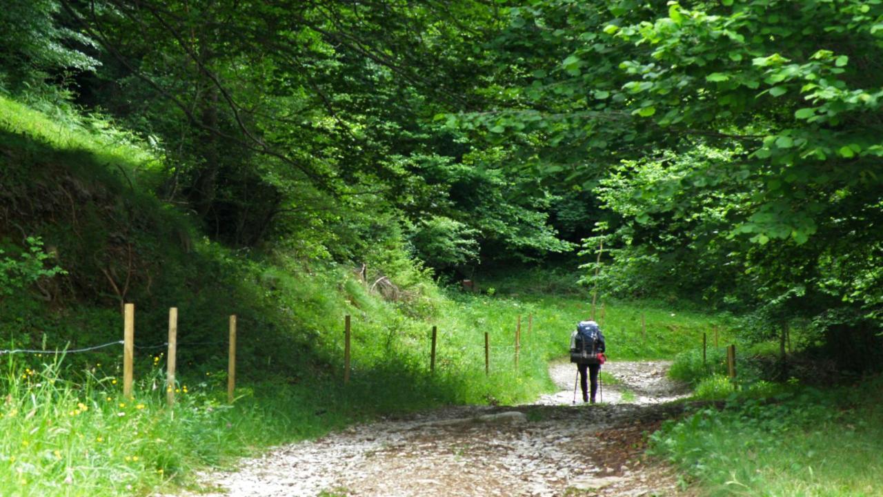Allotjaments Cal Llarg Molló Extérieur photo